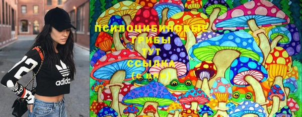 гидра Алексеевка